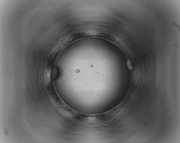 X0000103410406200809191550