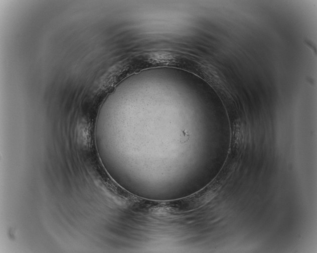 X0000103410408200809191550