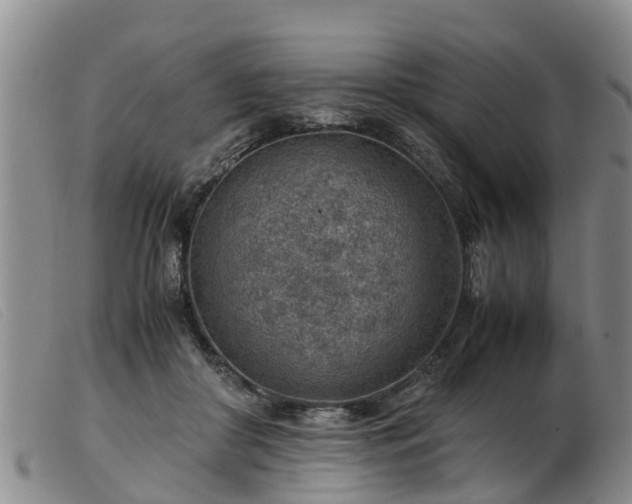 X0000103410410200809191550