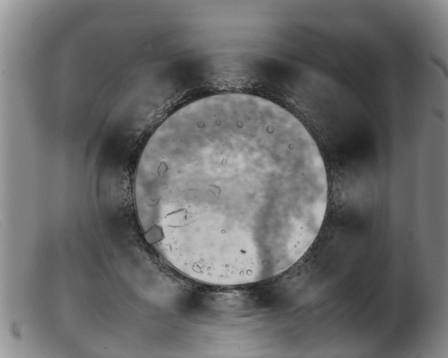 X0000103410411200809191550