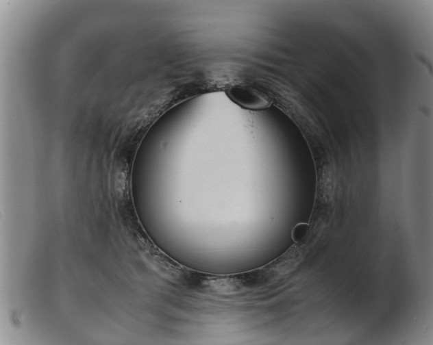 X0000103410417200809191550