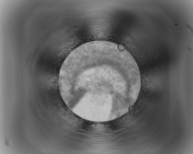 X0000103410419200809191550