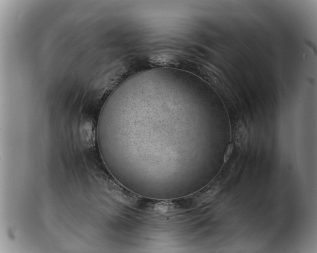 X0000103410420200809191550