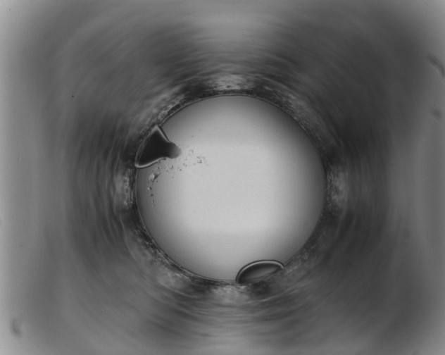 X0000103410422200809191550