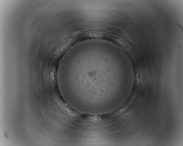 X0000103410424200809191550