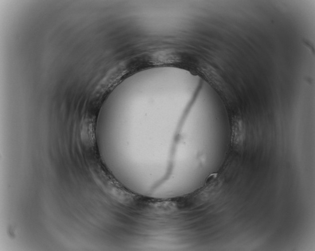 X0000103410426200809191550