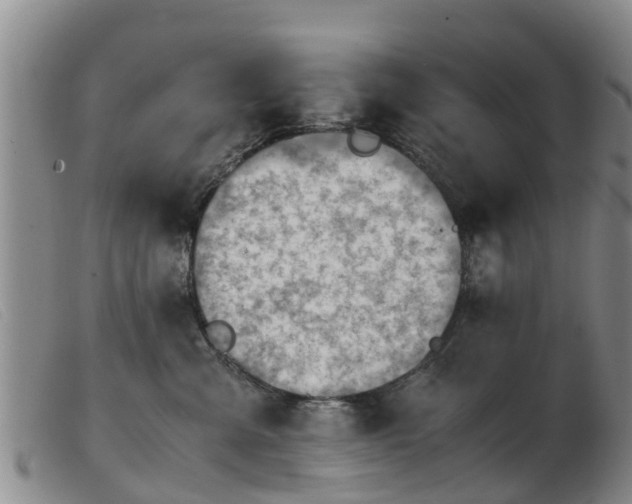 X0000103410427200809191549