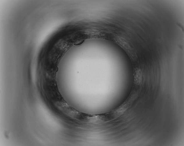 X0000103410430200809191549