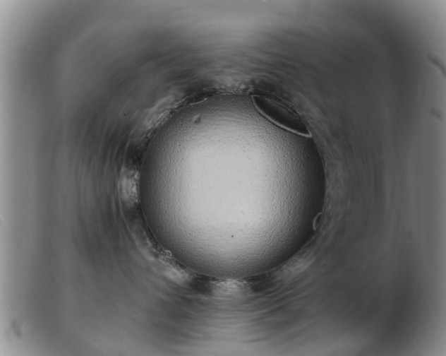 X0000103410432200809191549