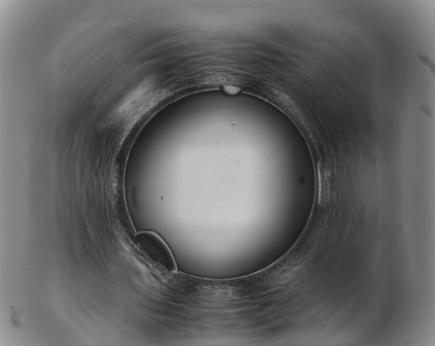 X0000103410435200809191549