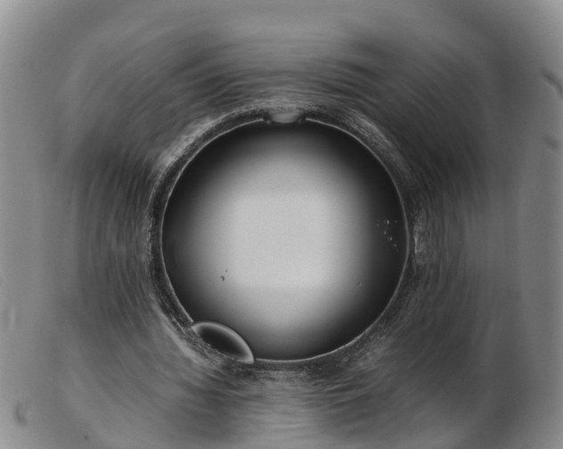 X0000103410436200809191549