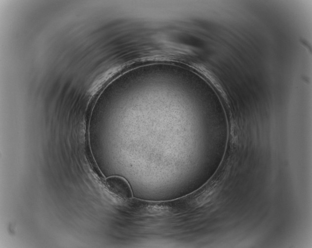 X0000103410437200809191549