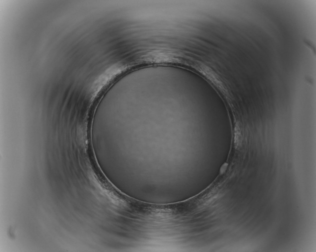 X0000103410438200809191549