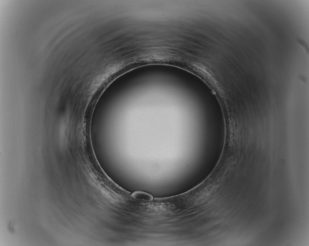 X0000103410439200809191549