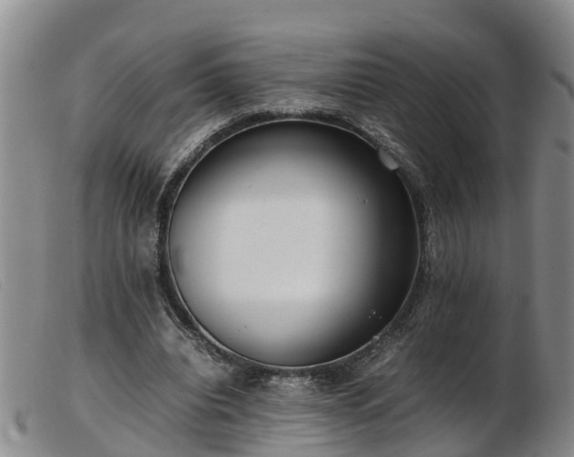 X0000103410440200809191549