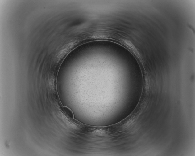 X0000103410441200809191549