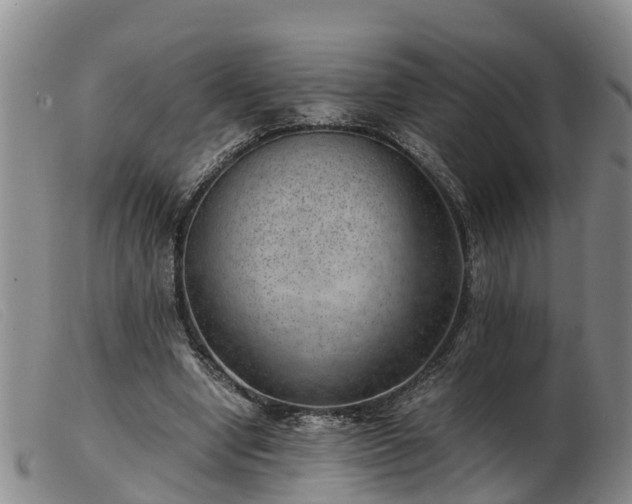 X0000103410442200809191549