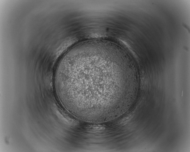 X0000103410443200809191549