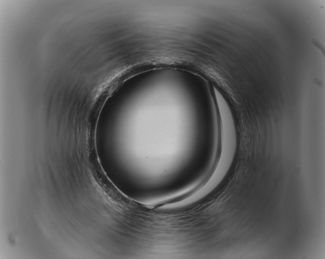 X0000103410444200809191549