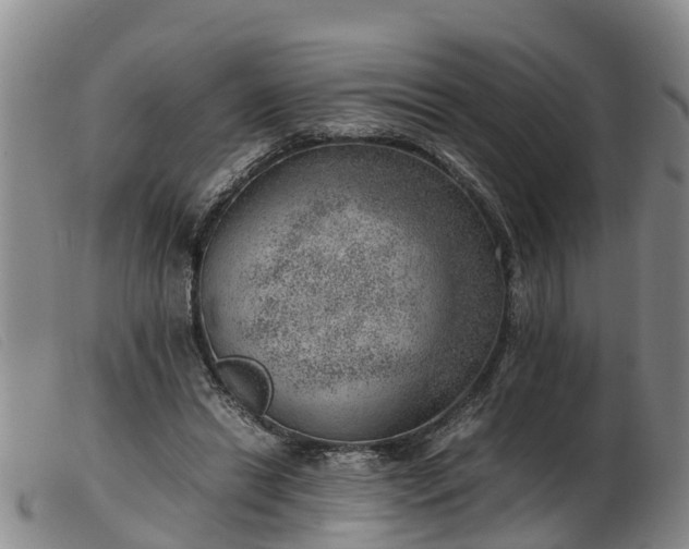 X0000103410446200809191549