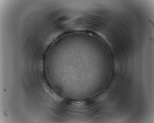 X0000103410447200809191549