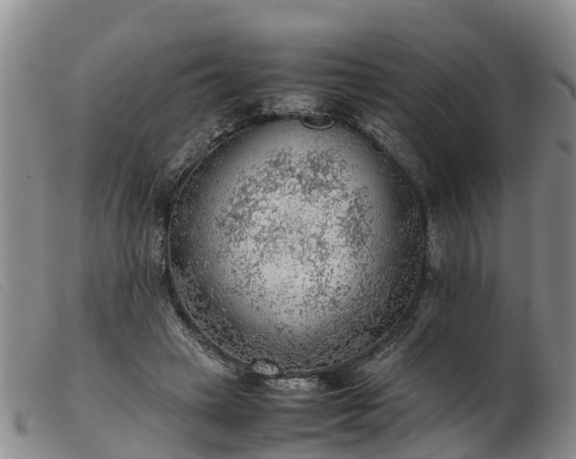 X0000103410449200809191549