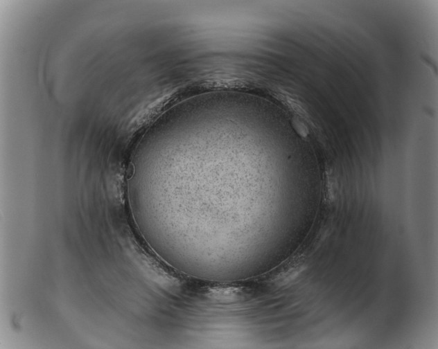 X0000103410450200809191549