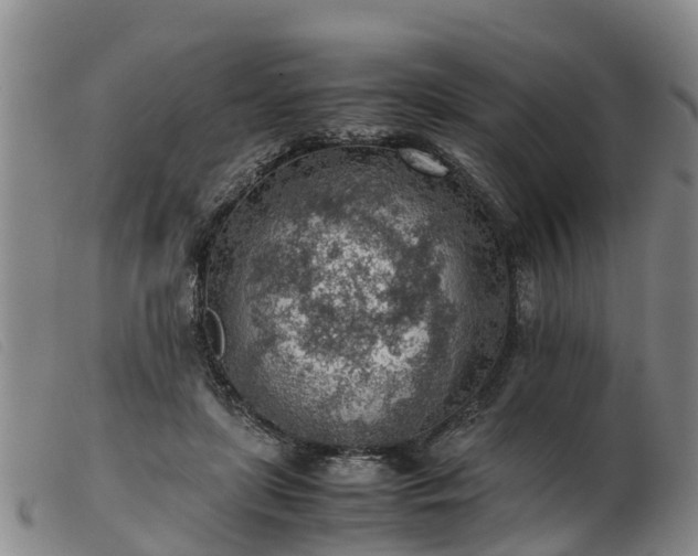 X0000103410451200809191549