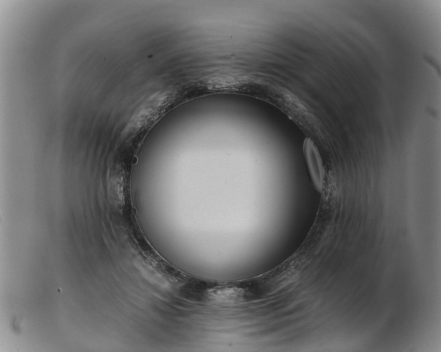 X0000103410452200809191549