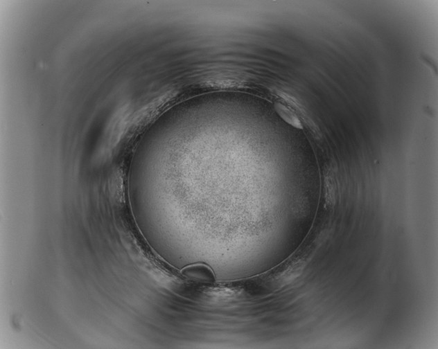 X0000103410453200809191549