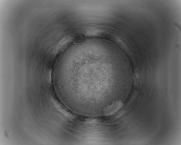 X0000103410454200809191549