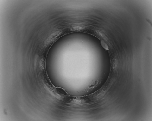 X0000103410455200809191549