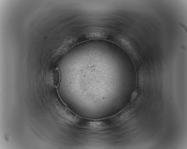 X0000103410457200809191549