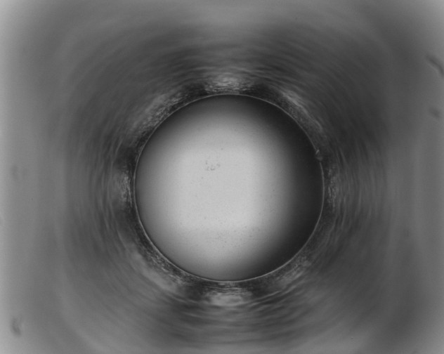 X0000103410459200809191549