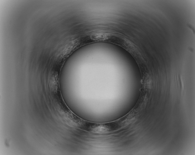 X0000103410460200809191549