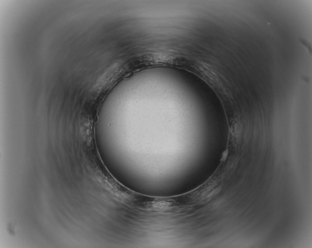 X0000103410462200809191549