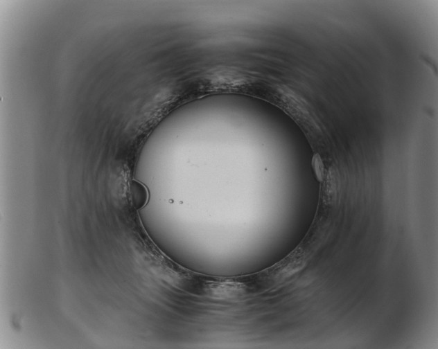 X0000103410463200809191549