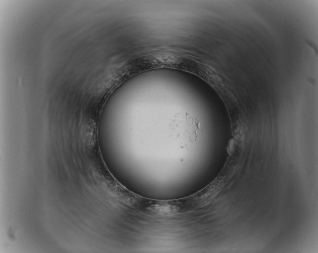 X0000103410464200809191549