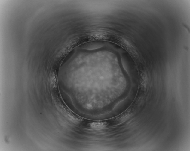 X0000103410465200809191549