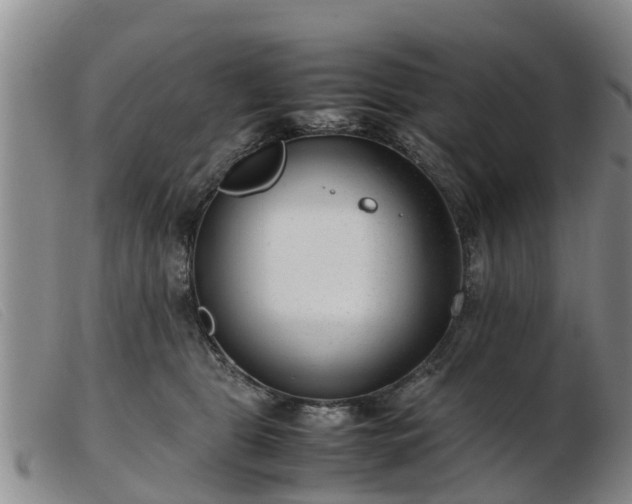 X0000103410469200809191549