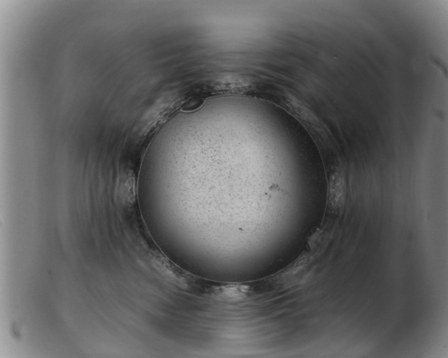 X0000103410474200809191549