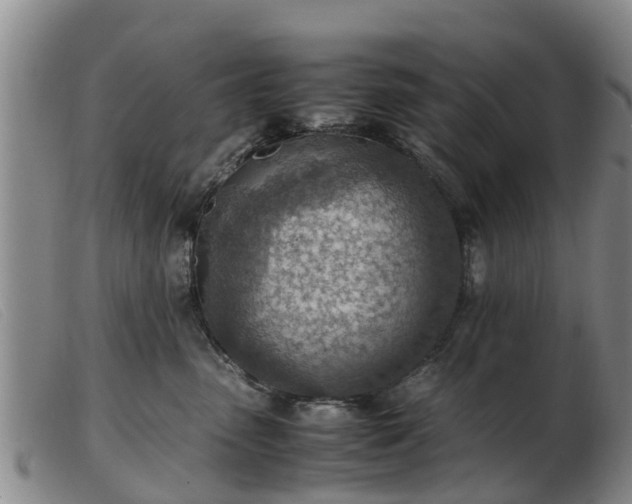 X0000103410475200809191549