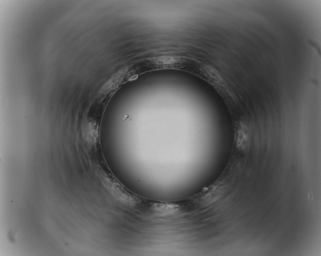 X0000103410476200809191549