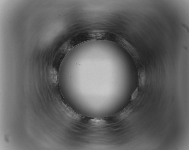 X0000103410477200809191549