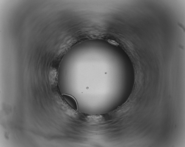 X0000103410480200809191549