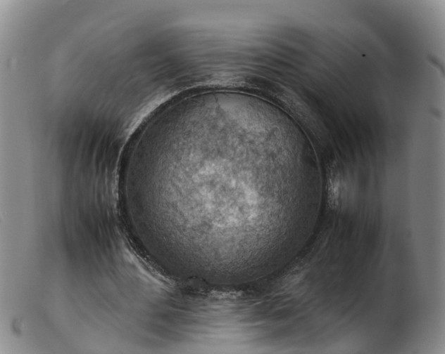 X0000103410484200809191549