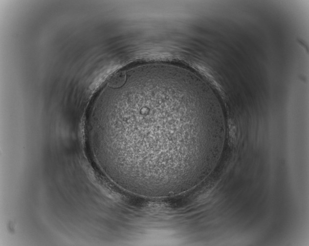 X0000103410487200809191549