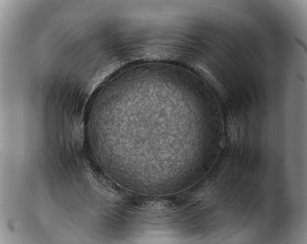 X0000103410488200809191549