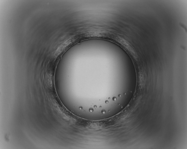 X0000103410489200809191549