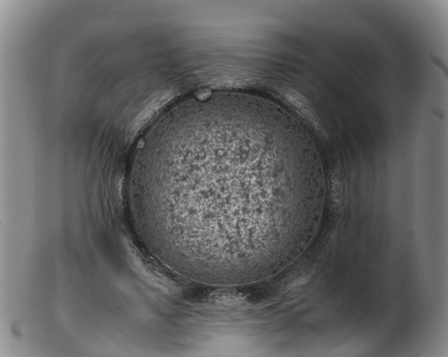 X0000103410491200809191549